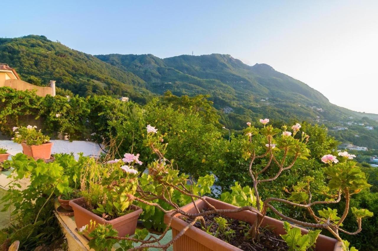 Giardini Di Iside E Osiride Bed & Breakfast *
