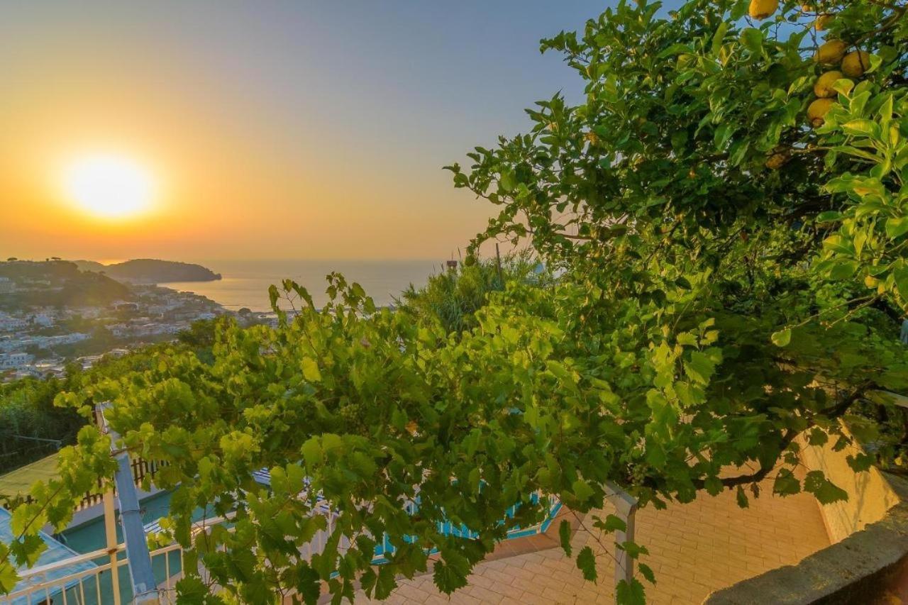 Giardini Di Iside E Osiride Frühstückspension Casamicciola Terme